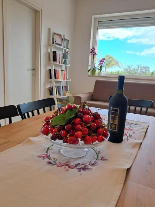 Malia Holiday Villa 콘베르사노 외부 사진